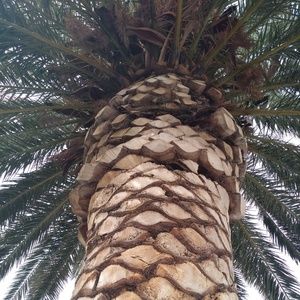 Meet your Posher, Janelle